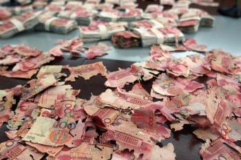 Formigas devoraram 50 mil euros em notas